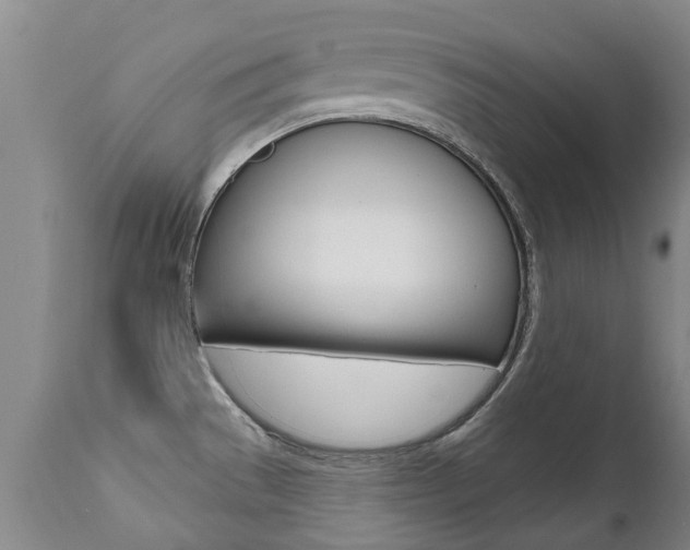 X0000112521529200908171100