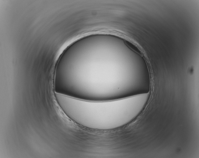 X0000112521530200908171100