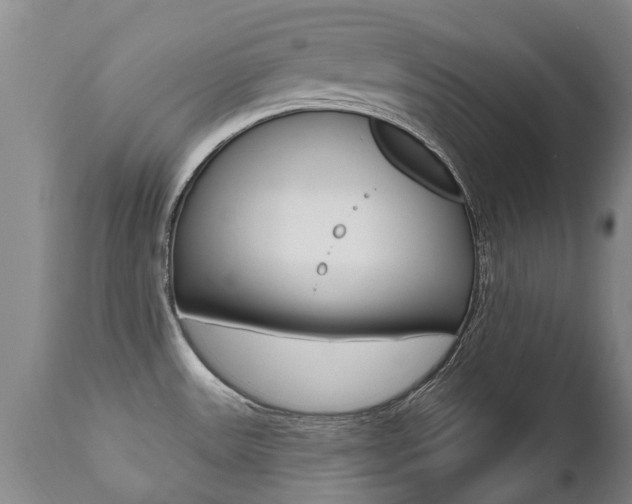 X0000112521531200908171100