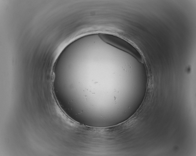X0000112521532200908171100