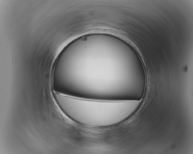 X0000112521533200908171100