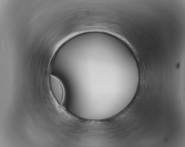 X0000112521534200908171100