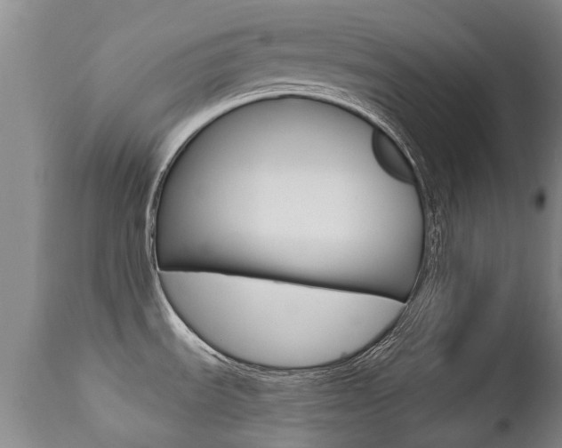 X0000112521535200908171100