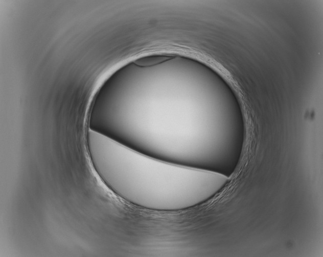 X0000112521536200908171100