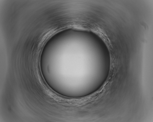 X0000112520001200908171404