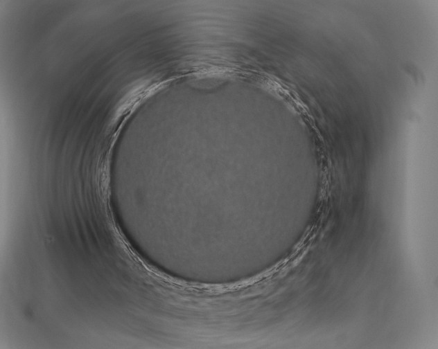X0000112520002200908171404