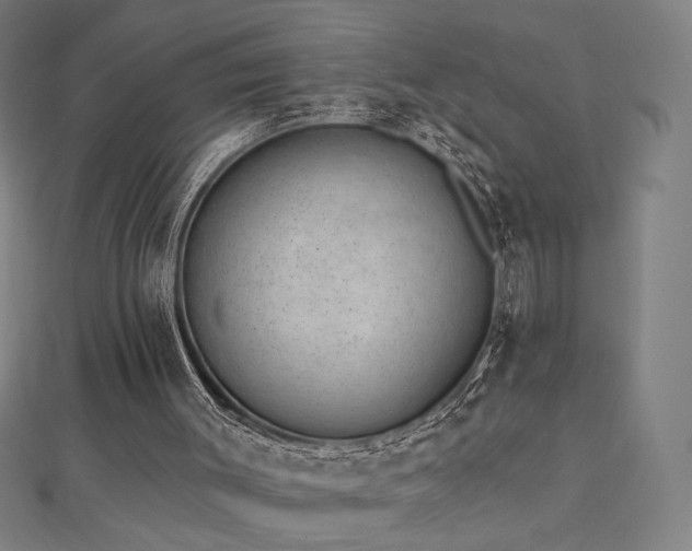 X0000112520003200908171404