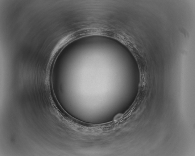 X0000112520004200908171404