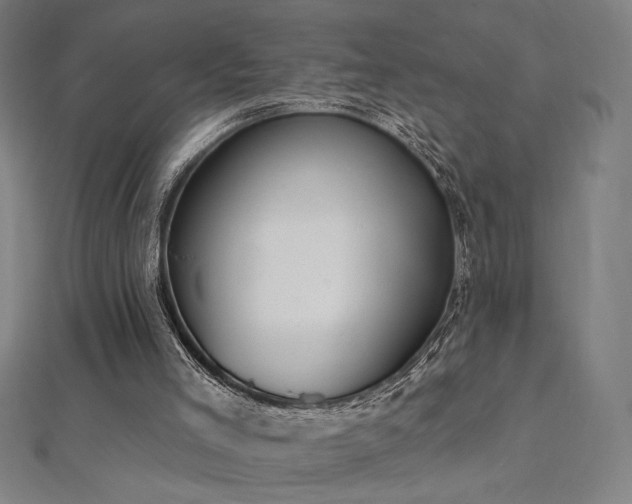 X0000112520005200908171404