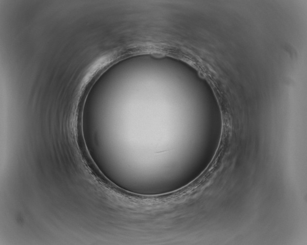 X0000112520006200908171404