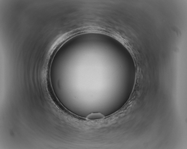 X0000112520007200908171404
