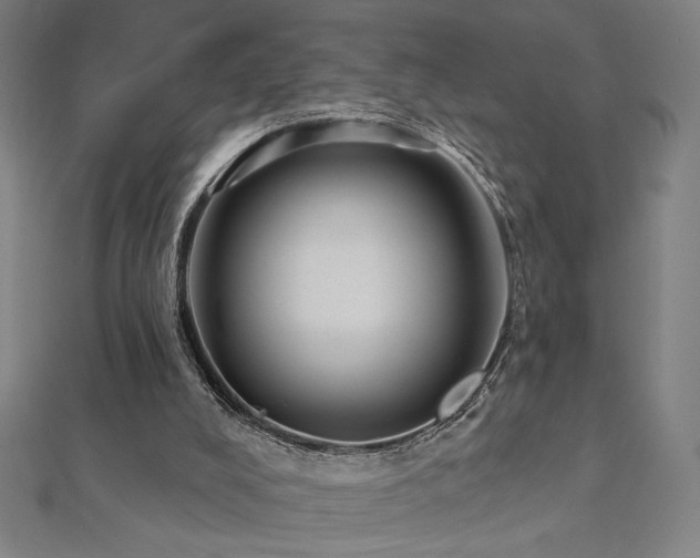X0000112520008200908171404
