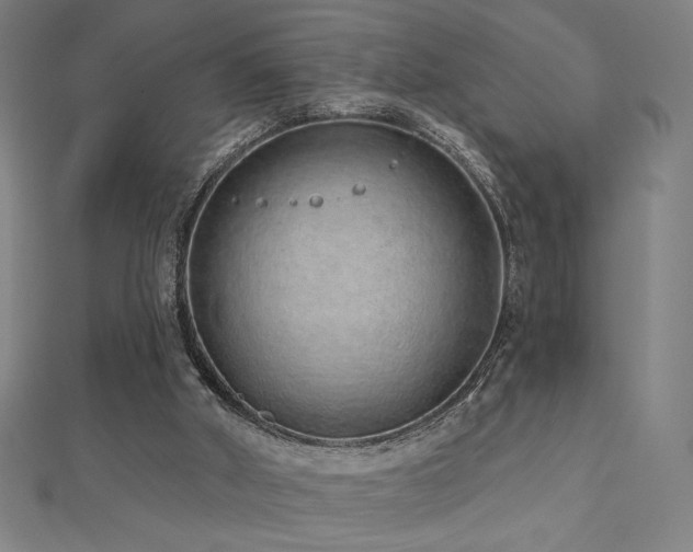 X0000112520010200908171404