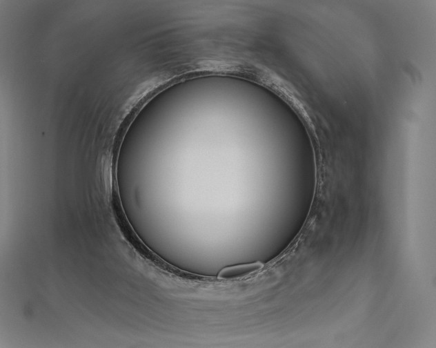 X0000112520011200908171404