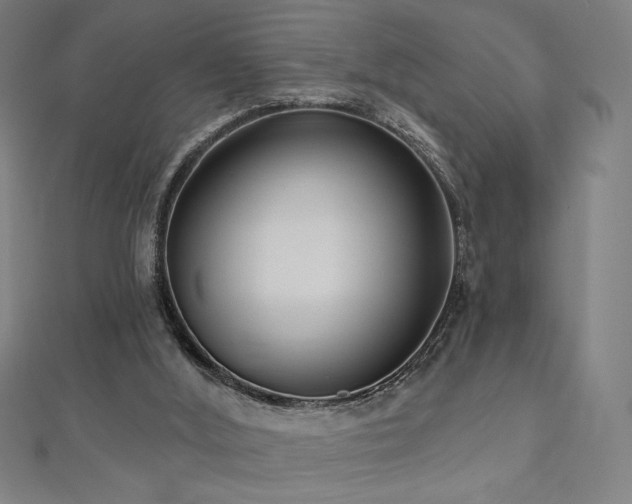 X0000112520012200908171404