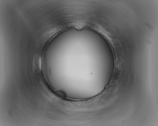 X0000112520013200908171404