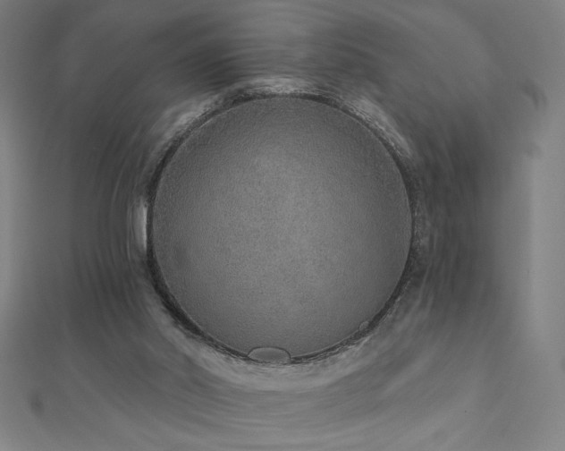 X0000112520014200908171404