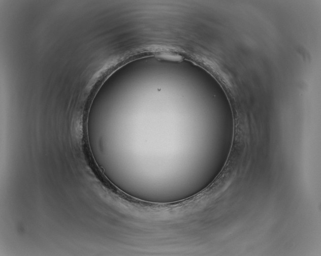 X0000112520015200908171404