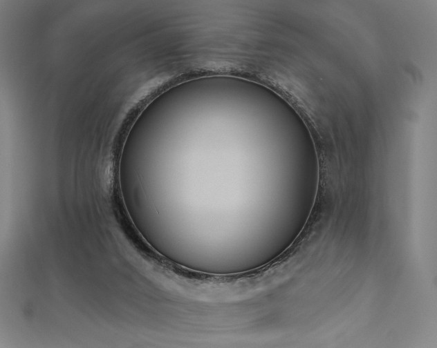 X0000112520016200908171404