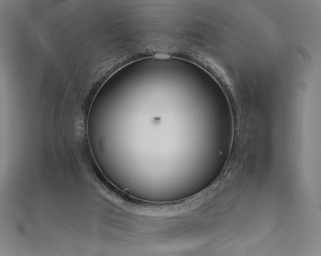 X0000112520017200908171404