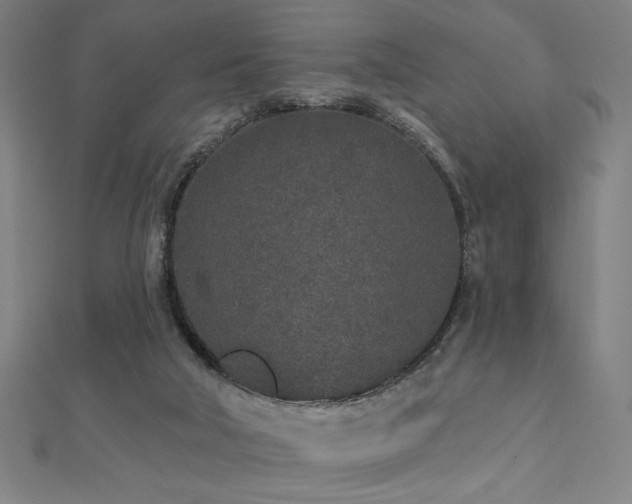 X0000112520018200908171404