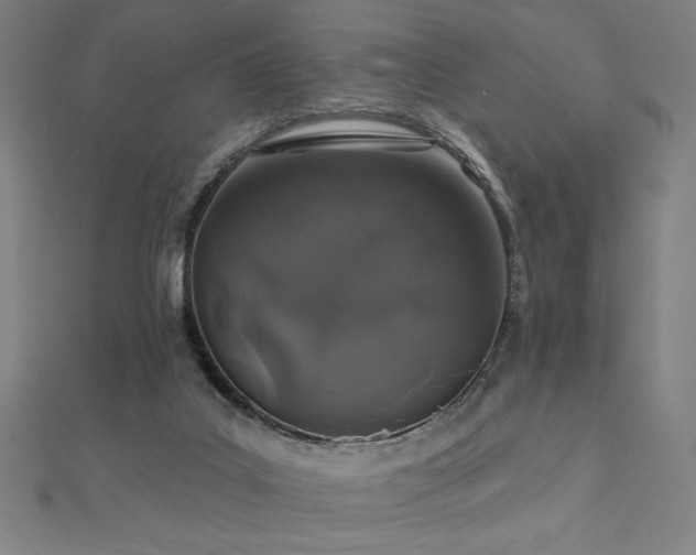 X0000112520019200908171404