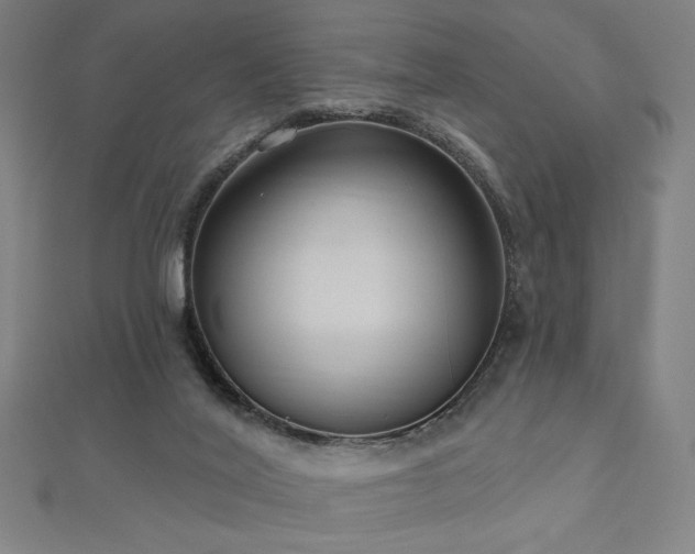X0000112520020200908171404