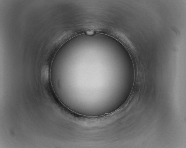 X0000112520021200908171404