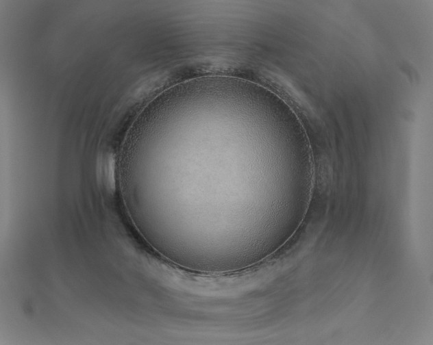 X0000112520022200908171404