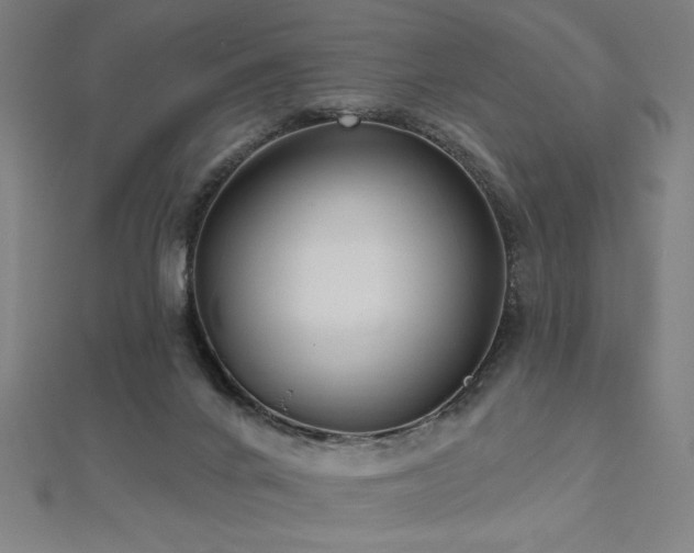 X0000112520024200908171404
