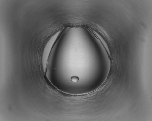 X0000112520025200908171404