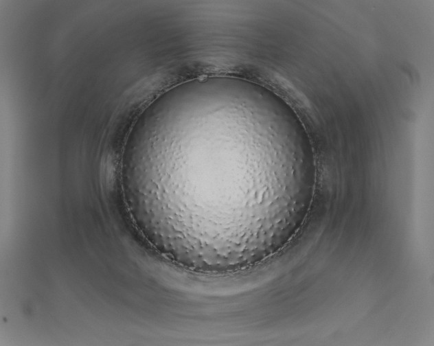 X0000112520026200908171404
