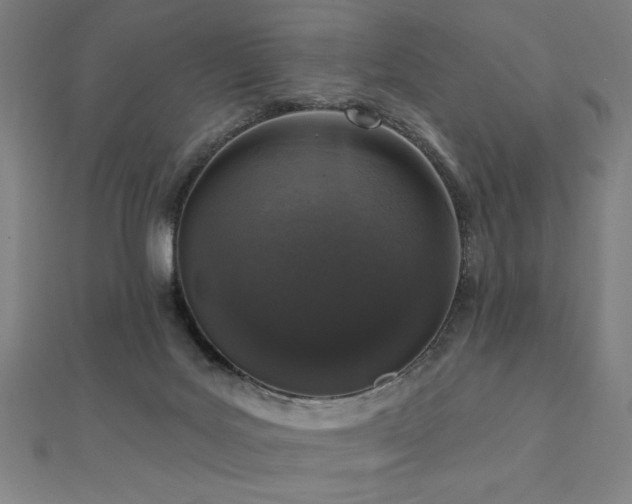 X0000112520027200908171404