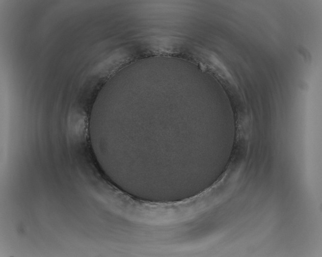 X0000112520029200908171404