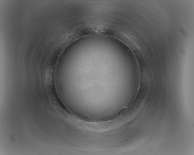X0000112520030200908171404
