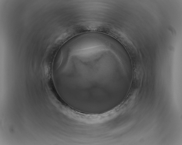 X0000112520031200908171404