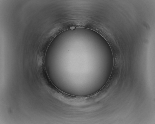 X0000112520032200908171404