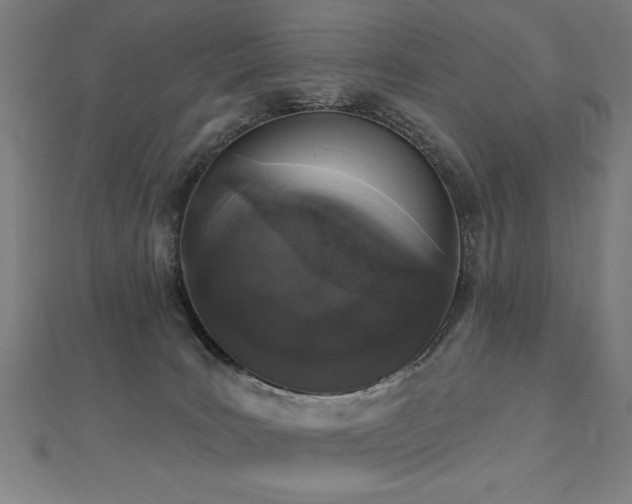 X0000112520035200908171404