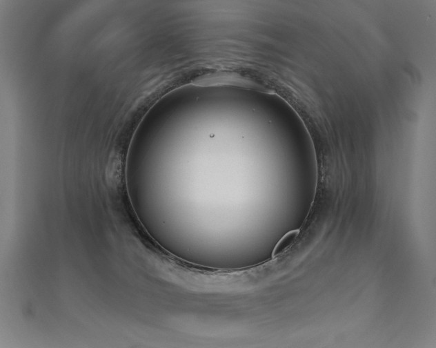 X0000112520036200908171404