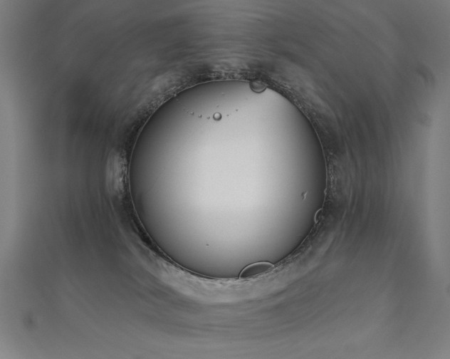 X0000112520038200908171404