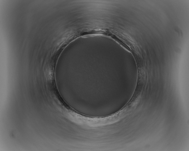 X0000112520039200908171404