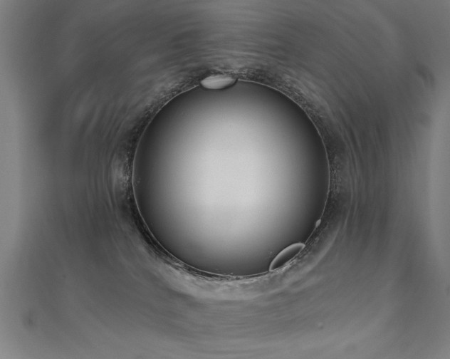 X0000112520040200908171404