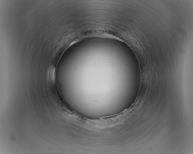 X0000112520041200908171404