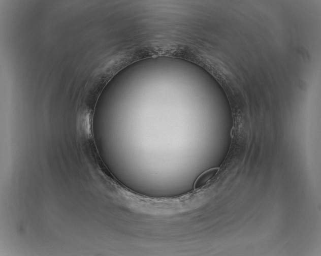 X0000112520042200908171404