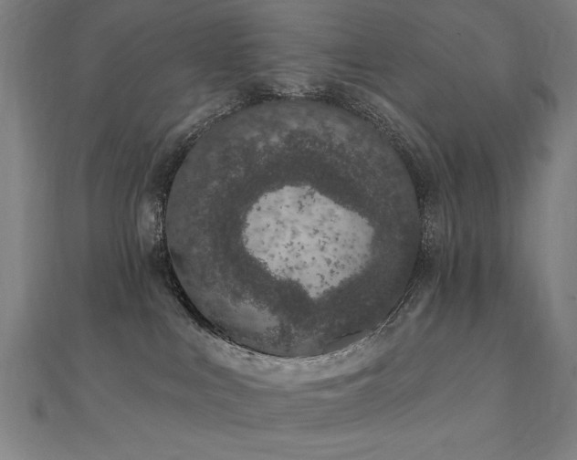 X0000112520043200908171404