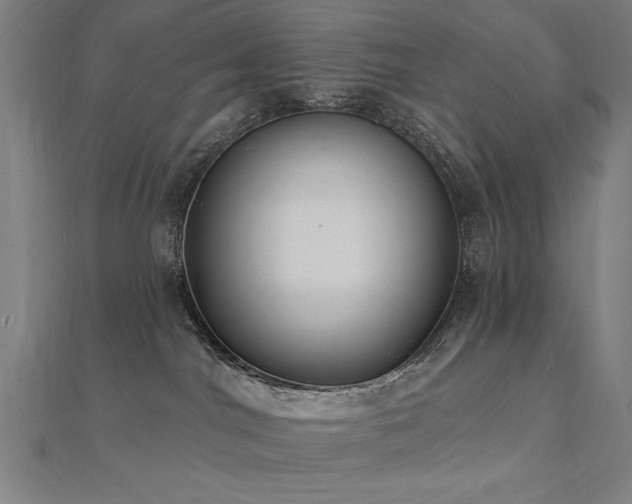 X0000112520044200908171404