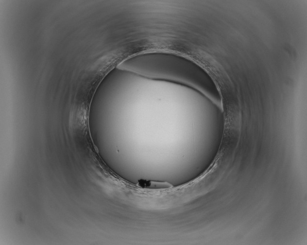 X0000112520045200908171404