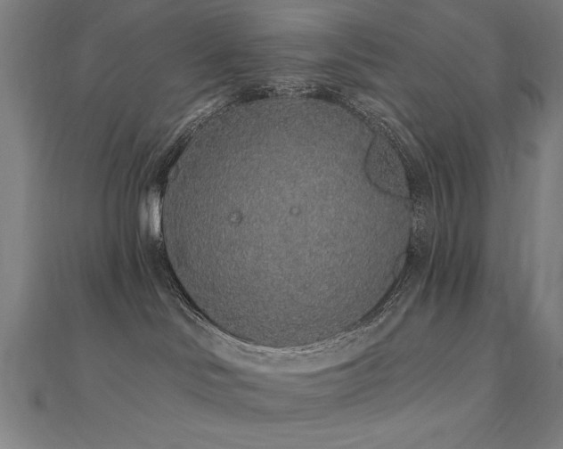 X0000112520046200908171404