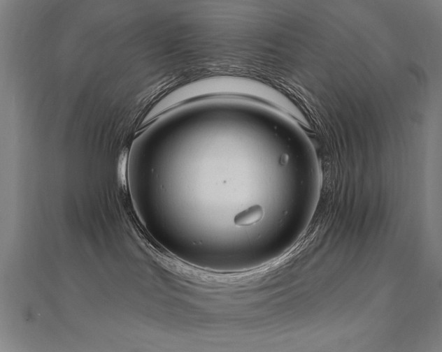 X0000112520047200908171404