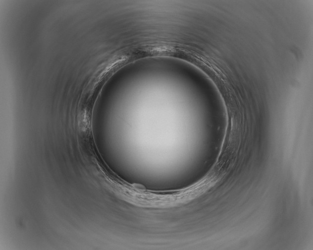 X0000112520048200908171404